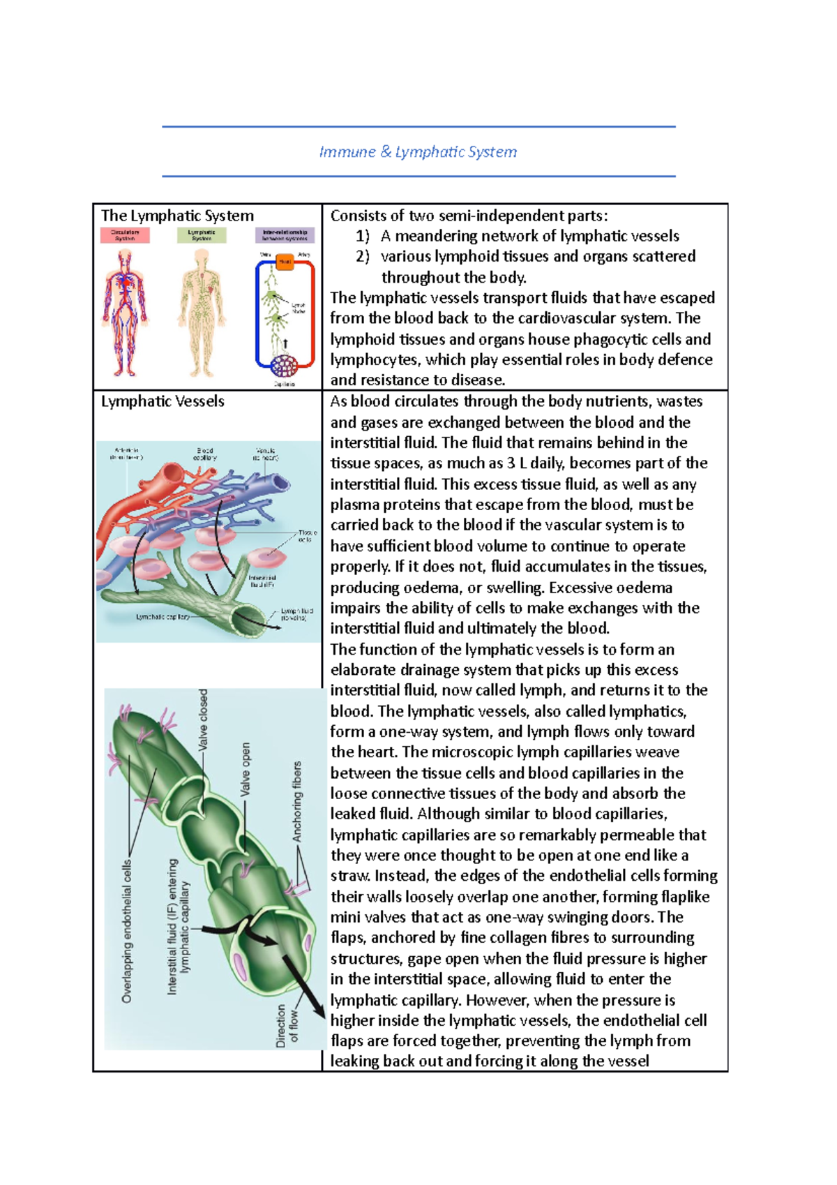Immune System and Lymphatics - Immune & Lymphatic System The Lymphatic ...