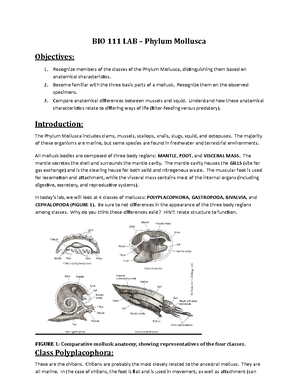 Gizmo: Evolution Mutation Selection - Student Exploration: Evolution ...