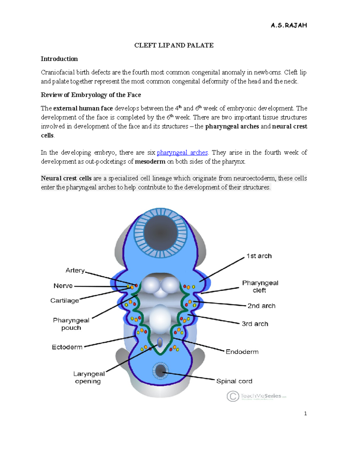 Cleft LIP AND Palate - CLEFT LIP AND PALATE Introduction Craniofacial ...