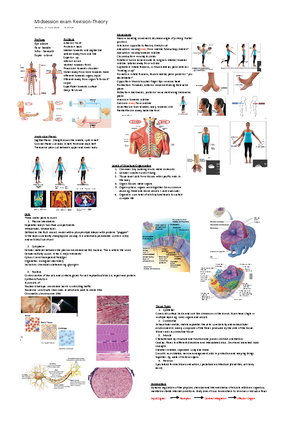 Histology Terms - Studocu