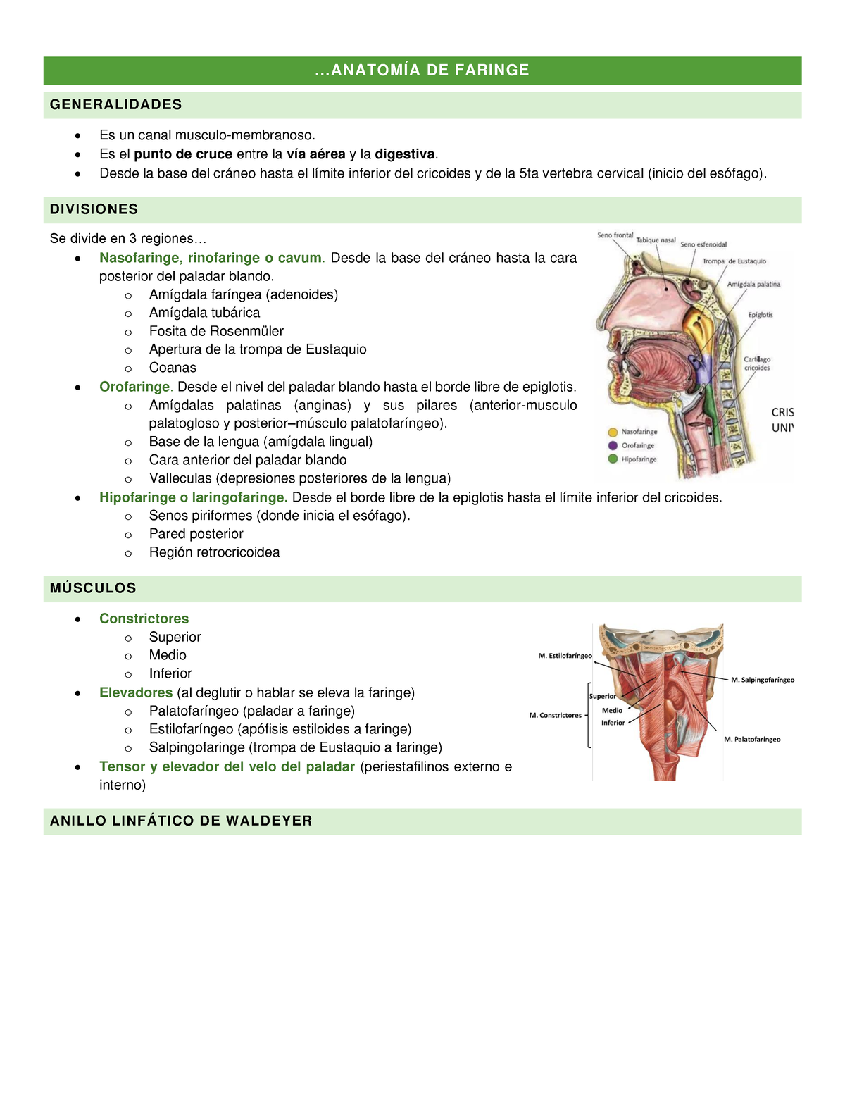 empedrado post goteo nasal