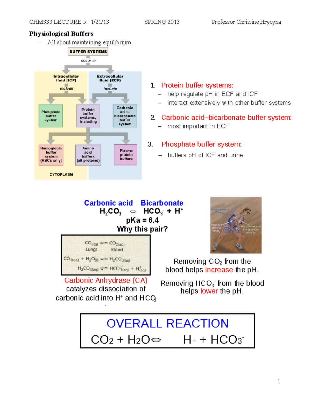 Lecture 5 Physiological Buffers - CHM333 LECTURE 5: 1/21/13 SPRING 2013 ...