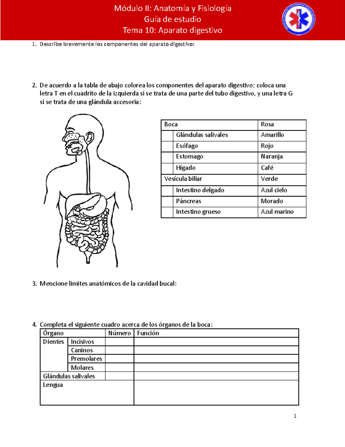 Aparato Digestivo Anatomia Ejercicios Anatom A Unam Studocu