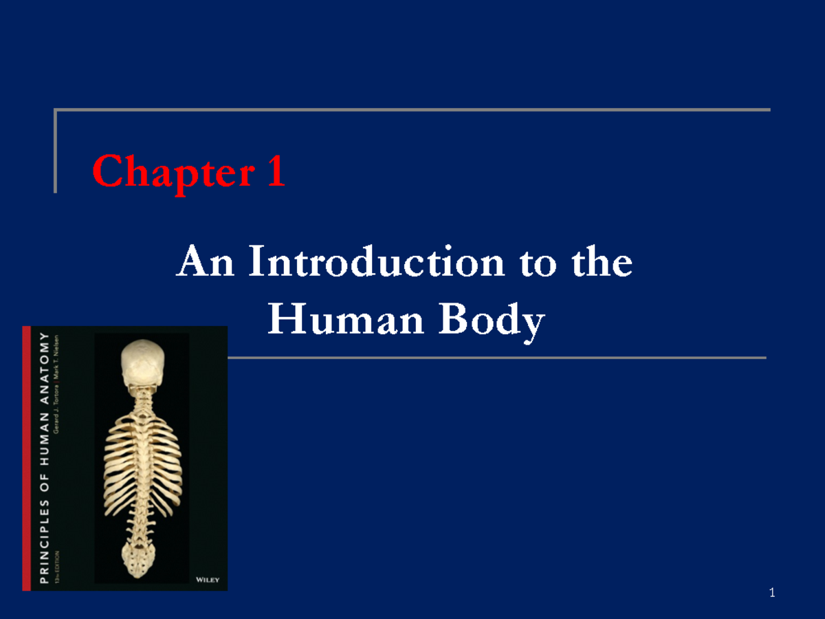 01.10.2017 HLSC 120 Introduction - Human Anatomy - Chapter 1 An ...