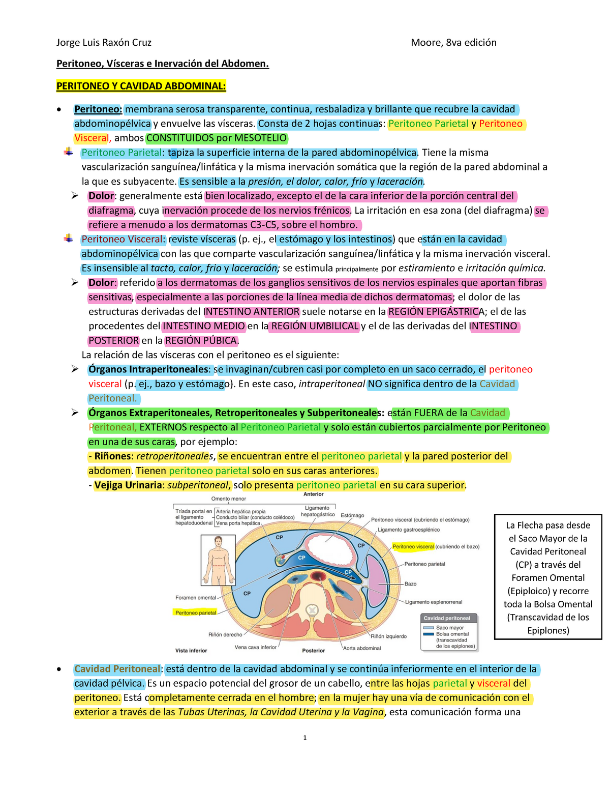 peritoneo visceral vs peritoneo parietal