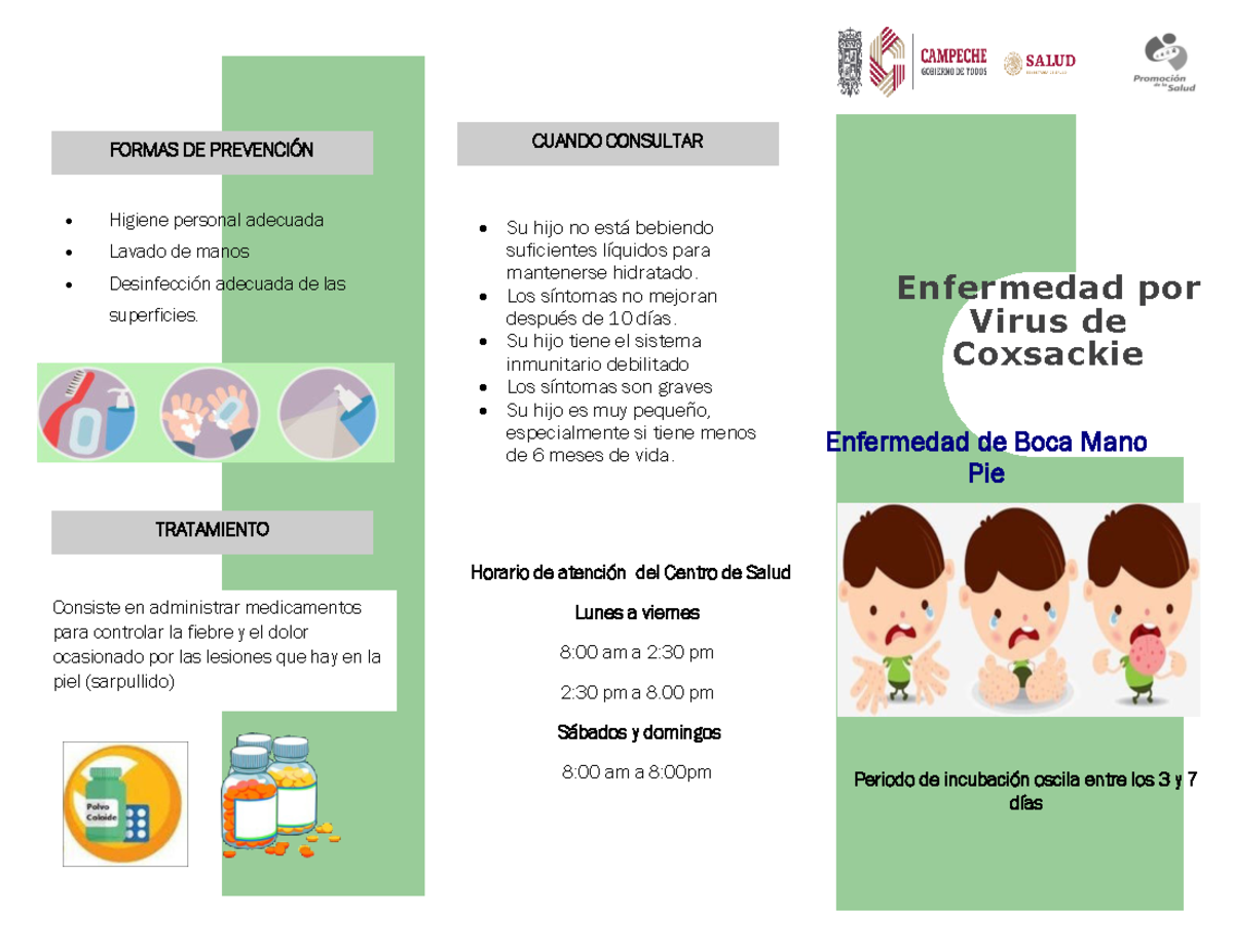 Coxsackie Enfermedad por Virus de Coxsackie Enfermedad de Boca Mano Pie FORMAS DE PREVENCIÓN