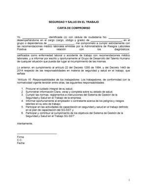 2. Compromiso Recomendaciones Medico Laborales - SEGURIDAD Y SALUD EN EL  TRABAJO CARTA DE COMPROMISO - Studocu