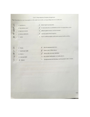 Unt 8 Metabolism Dropbox Worksheet - Name ...