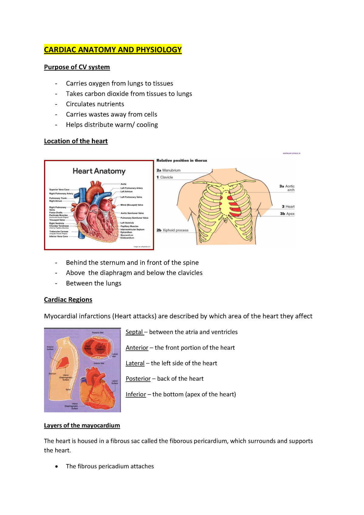 Cardiac Anatomy AND Physiology - PARA104 - ACU - StuDocu