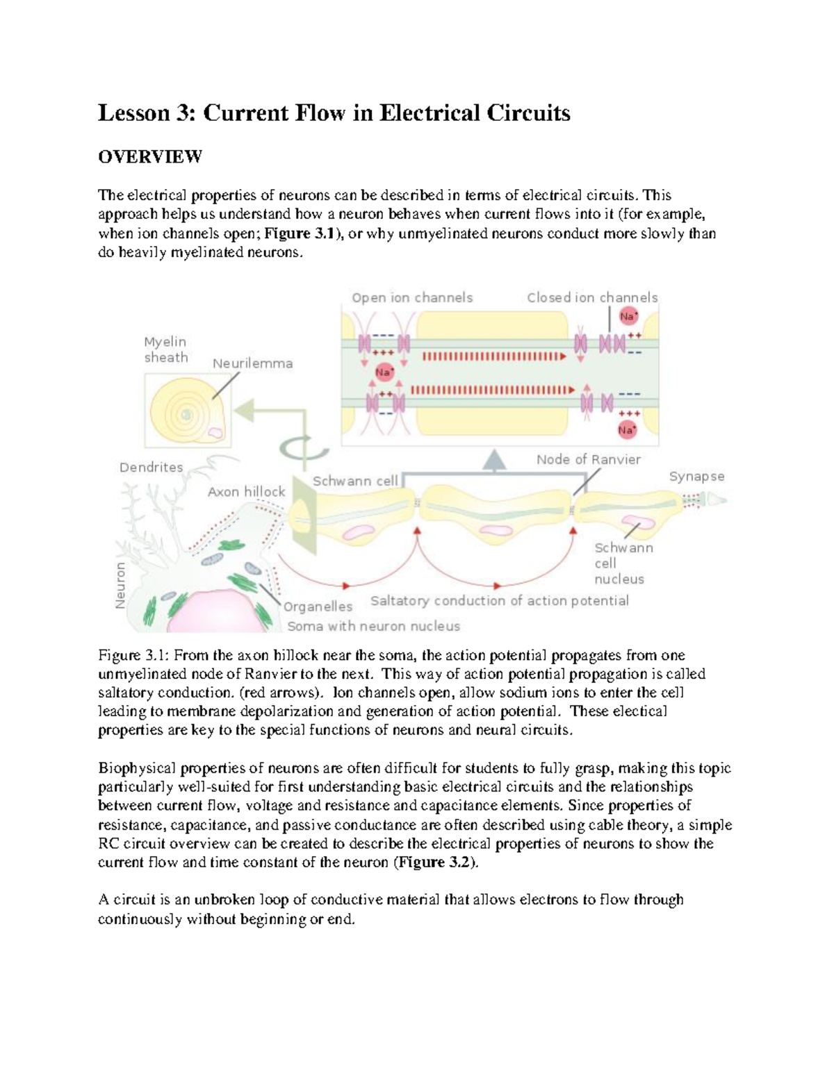 Lesson 3 Current Flow and Electrical Circuits - Lesson 3: Current Flow ...