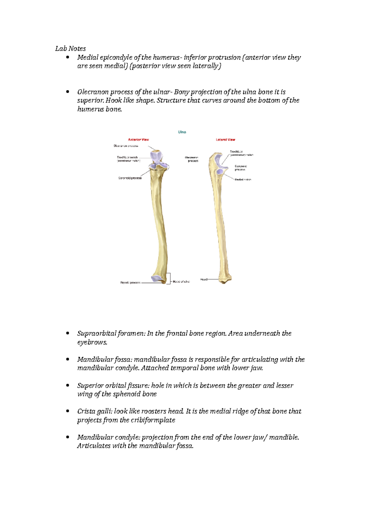 Lab Notes - review of lab with summary and pictures - Lab Notes Medial ...