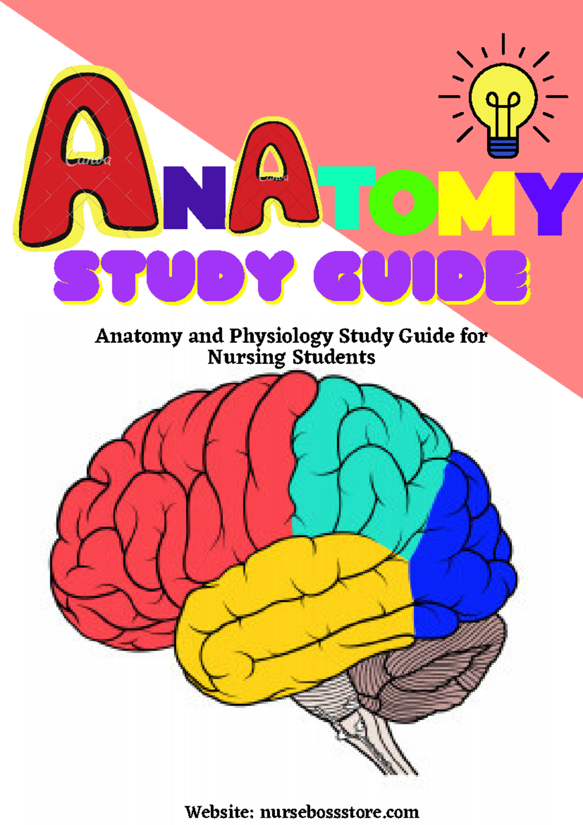 Anatomy Review Guide 1 - Anatomy and Physiology Study Guide for Nursing ...