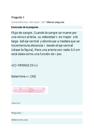 Evaluacion Final Construccion De Sofware Tabla De Contenido Portada