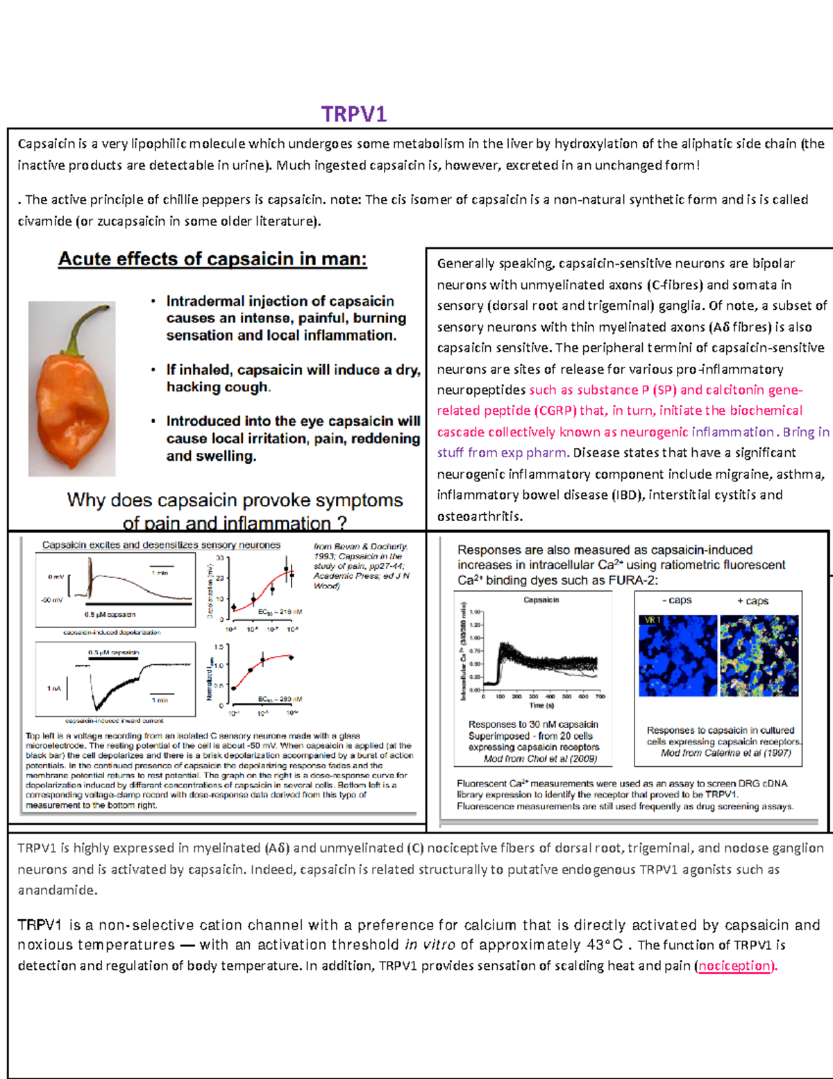 TRPV1 Revision Notes Cell & Molecular Pharmacology TRPV Capsaicin