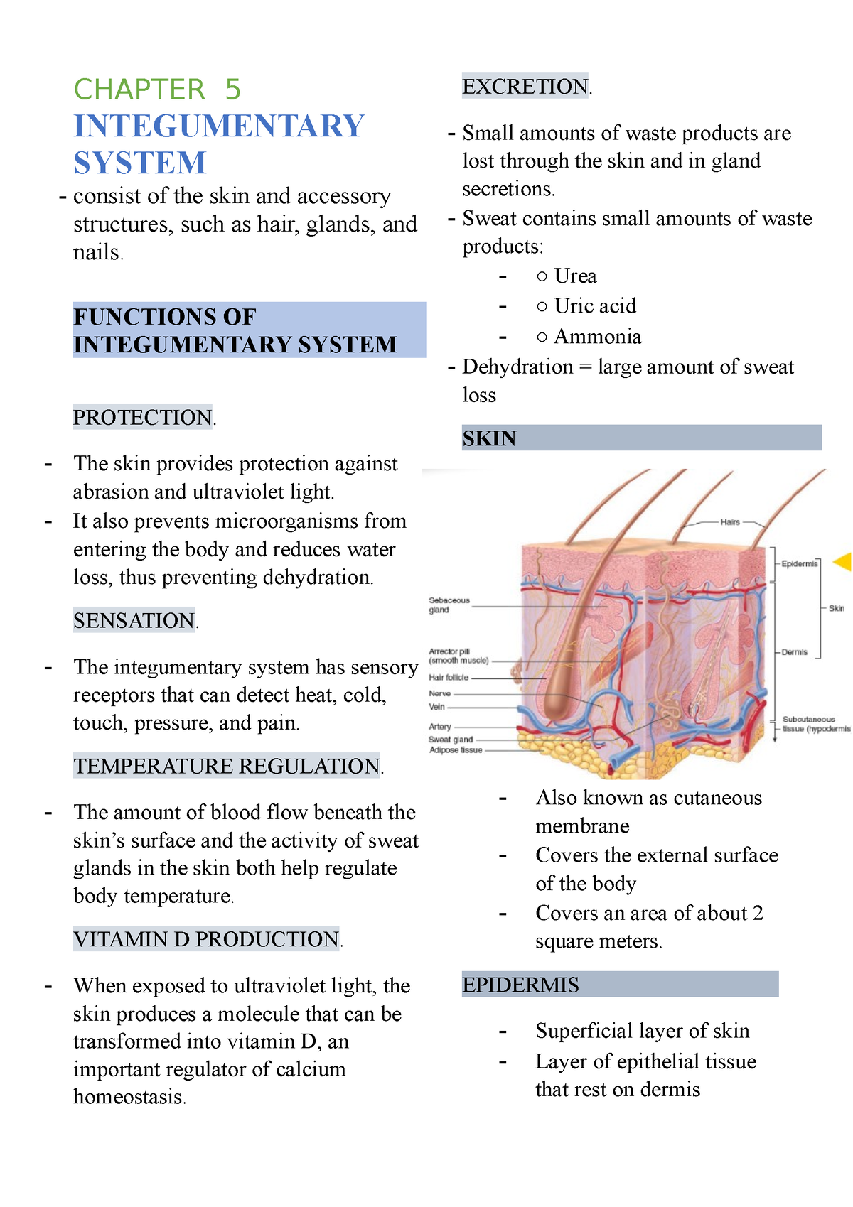 research paper on integumentary system