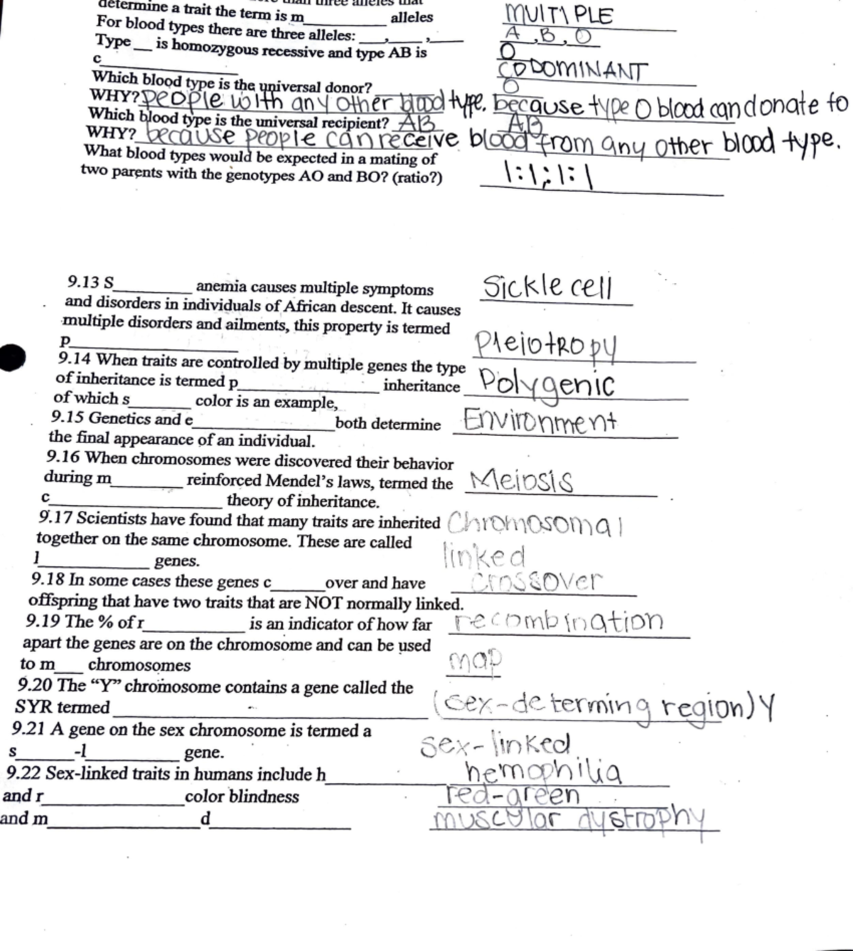 Biology Keywords - aetennm trai - uia ua:::t: aut:Jt::, uu:u. ffi\J\ T ...