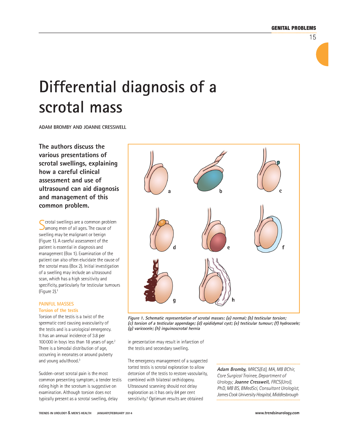 trends-urol-men-s-health-2014-bromby-differential-diagnosis-of-a