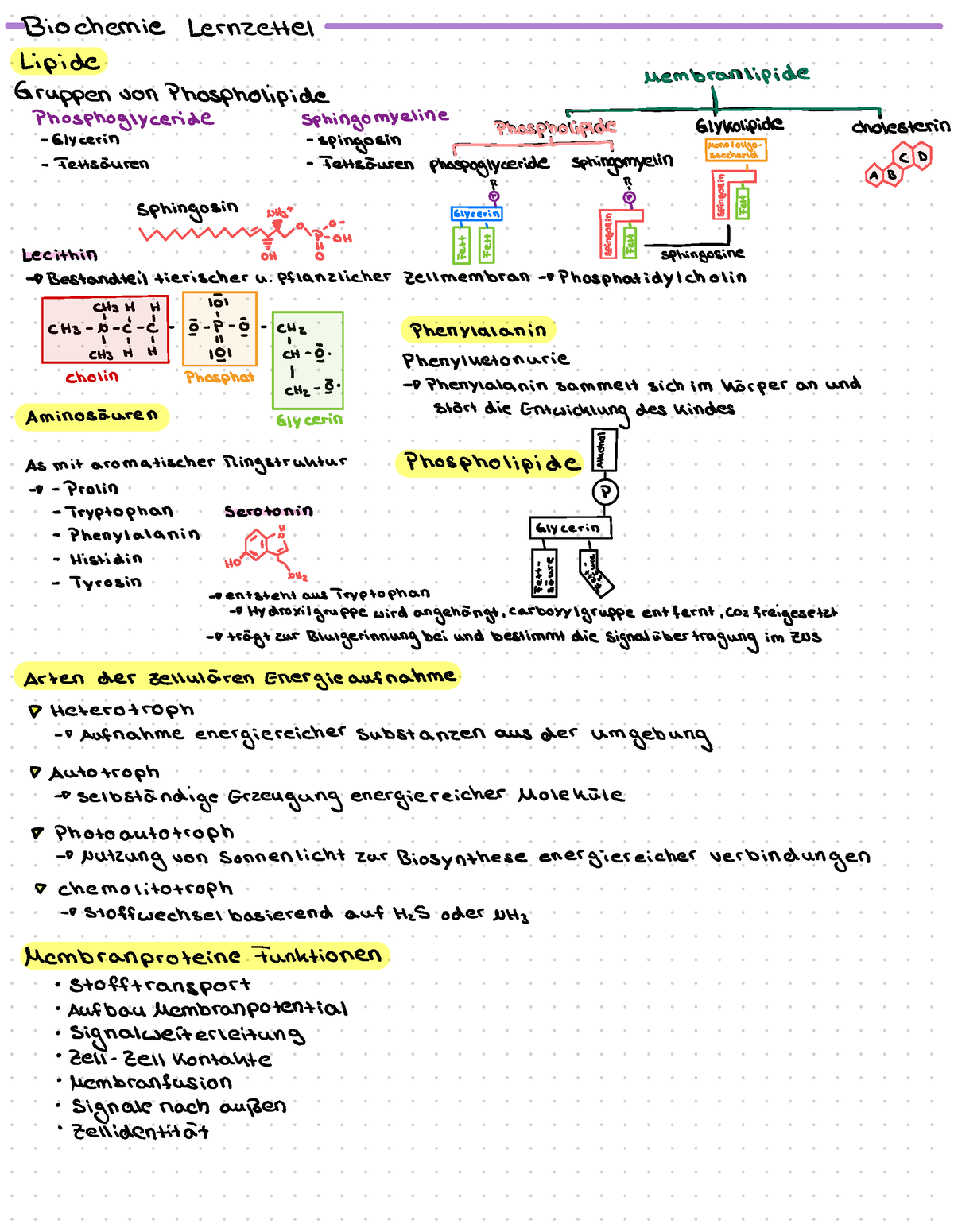 Lernzettel Biochemie Biochemie Lernzettel Lipide Mmbbrraanntipi