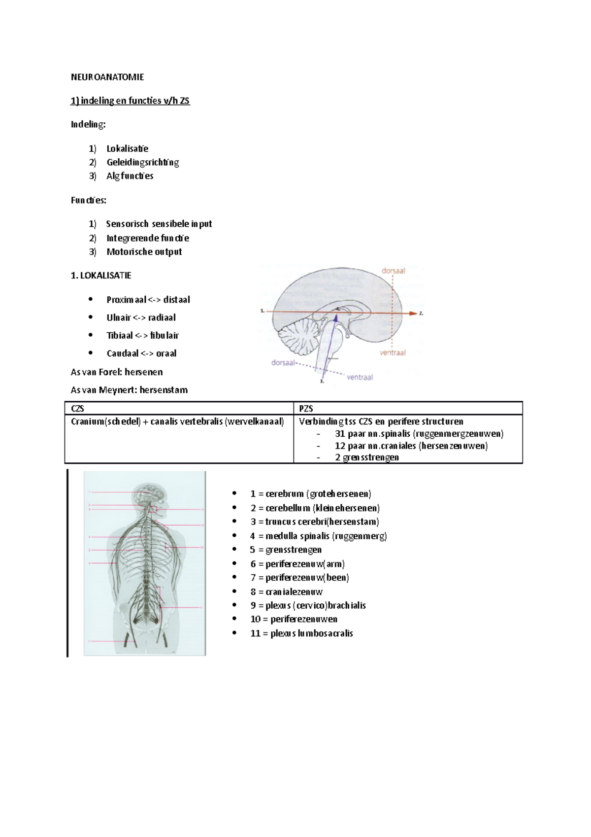 Hoofdstuk 1 Indeling En Functie Van Het Zenuwstelsel - NEUROANATOMIE ...