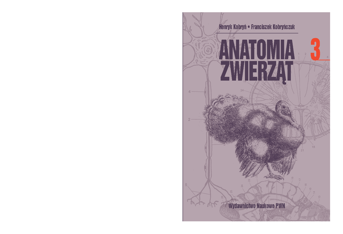 Anatomia zwierzat - Henryk Kobryƒ • Franciszek Kobryƒczuk ANATOMIA
