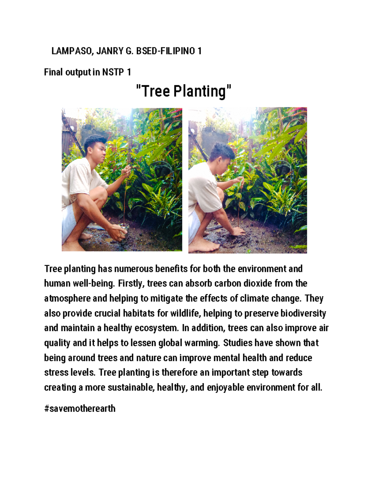 Tree planting essay document LAMPASO, JANRY G. BSEDFILIPINO 1 Final