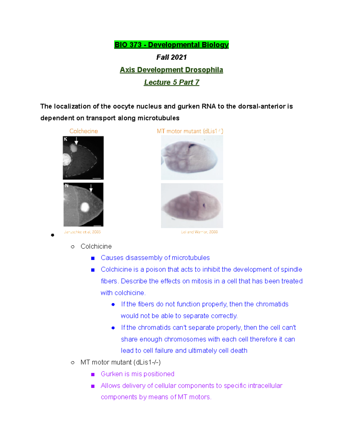 BIO 373 Lecture 5 Part 7 - Fall 2021 - BIO 373 Developmental Biology ...