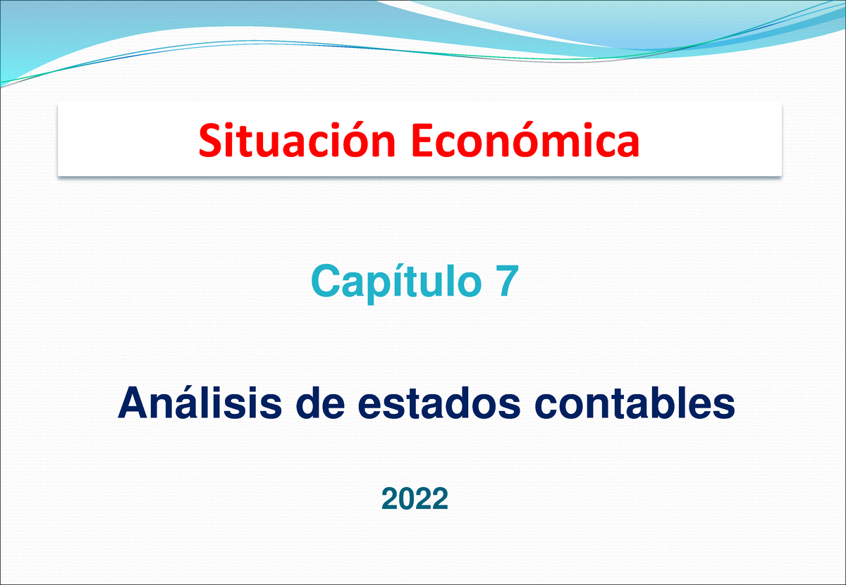Capitulo 7 Situacion Economica 2022 Situación Económica 2022 Análisis De Estados Contables 6500