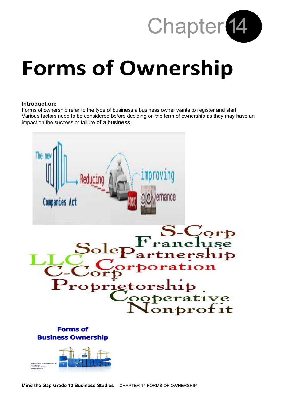 forms of ownership essay grade 11