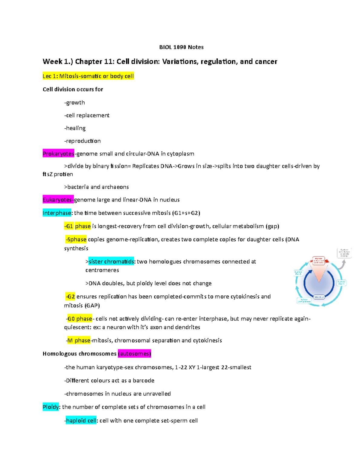 BIOL 1090 Notes - BIOL 1090 Notes Week 1.) Chapter 11: Cell Division ...