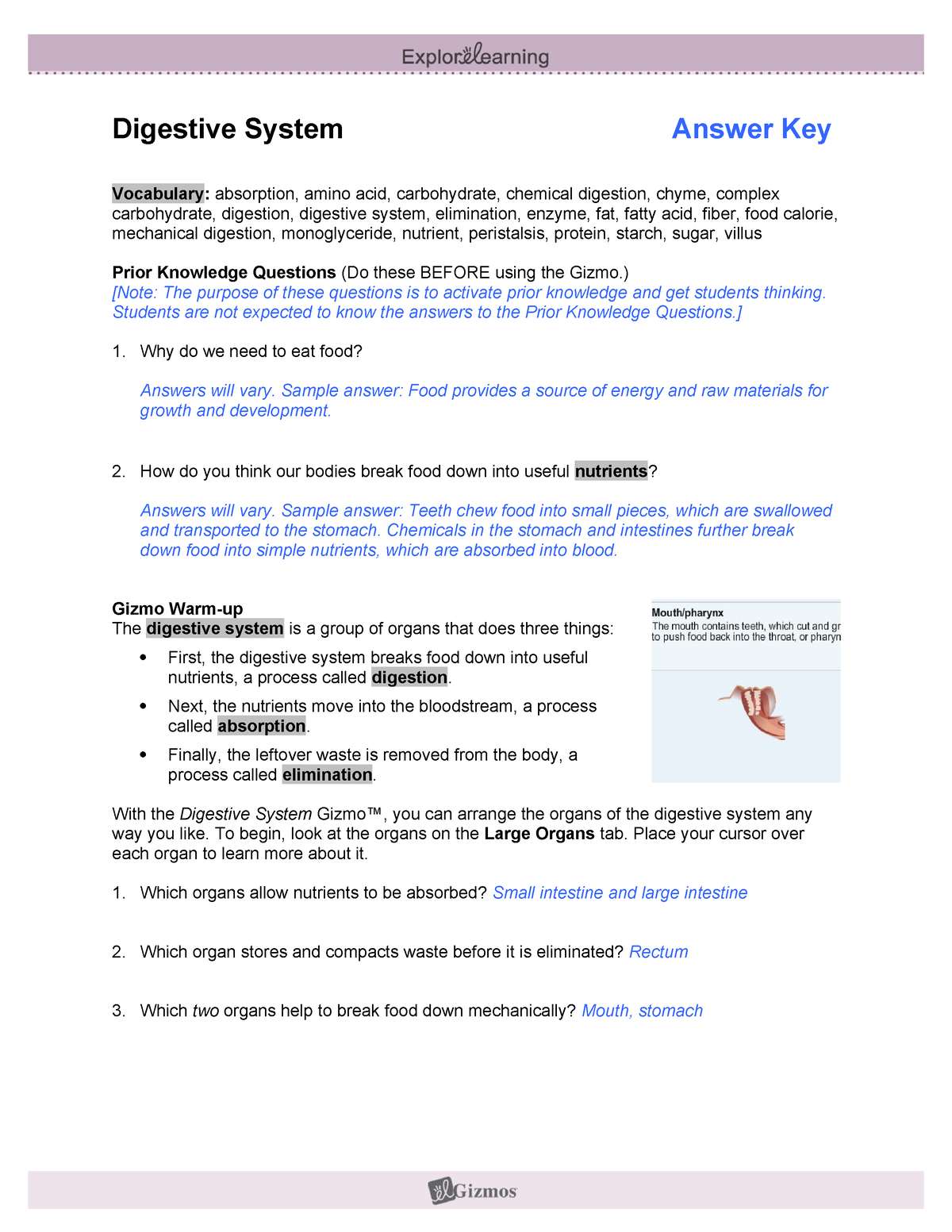 10 - Digestive System Gizmo answers - Digestive System Answer Key ...