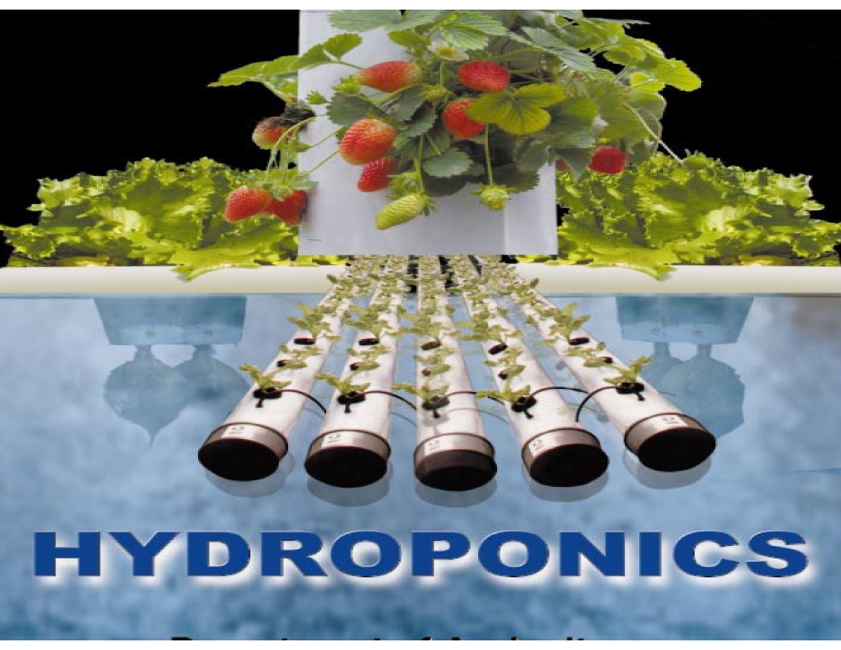 hypothesis on hydroponics