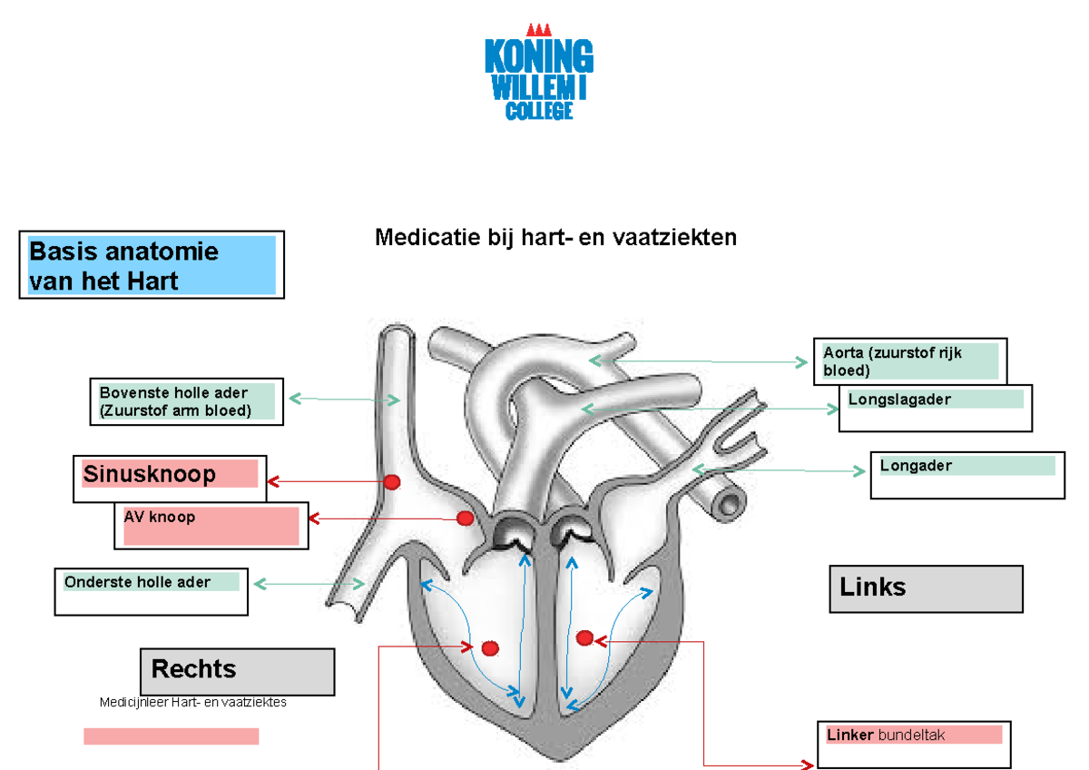 Medicatie schema hart en vaatziekten - Medicatie bij hart- en