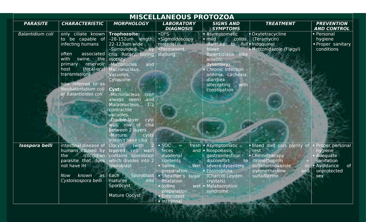 Miscellaneous Protozoa - MISCELLANEOUS PROTOZOA PARASITE CHARACTERISTIC ...