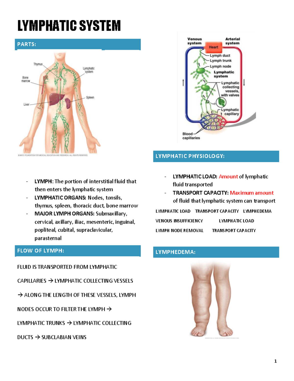 Lymphatic System - lymph - BIO 201A - Studocu