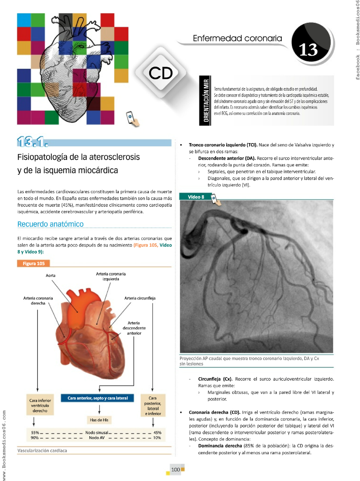 Enfermedad Coronaria - Fisiopatología De La Aterosclerosis Y De La ...