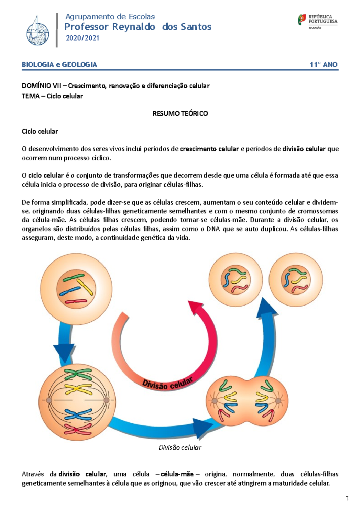 Ciclo celular: definição, fases e controle - Brasil Escola