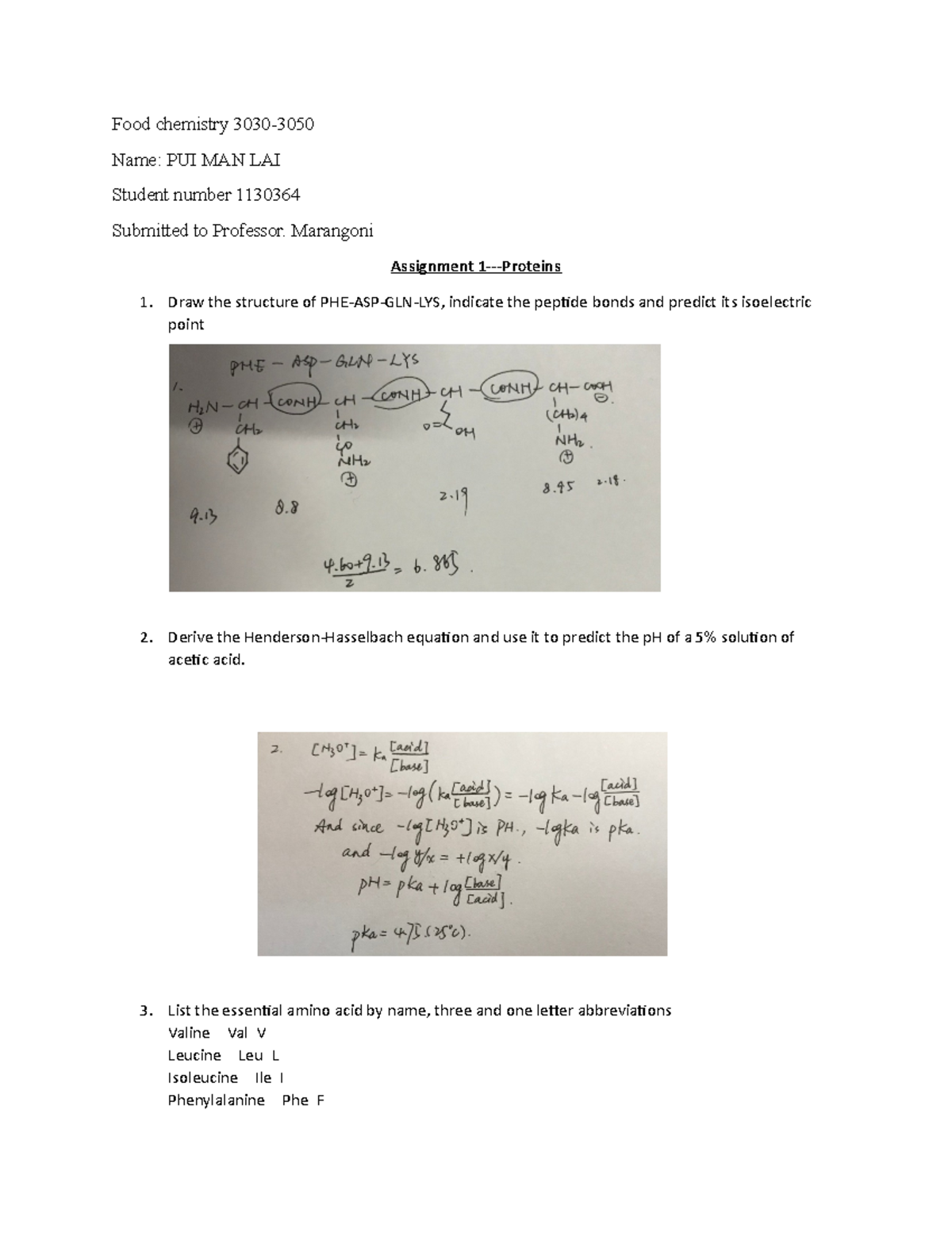 assignment on proteins in chemistry