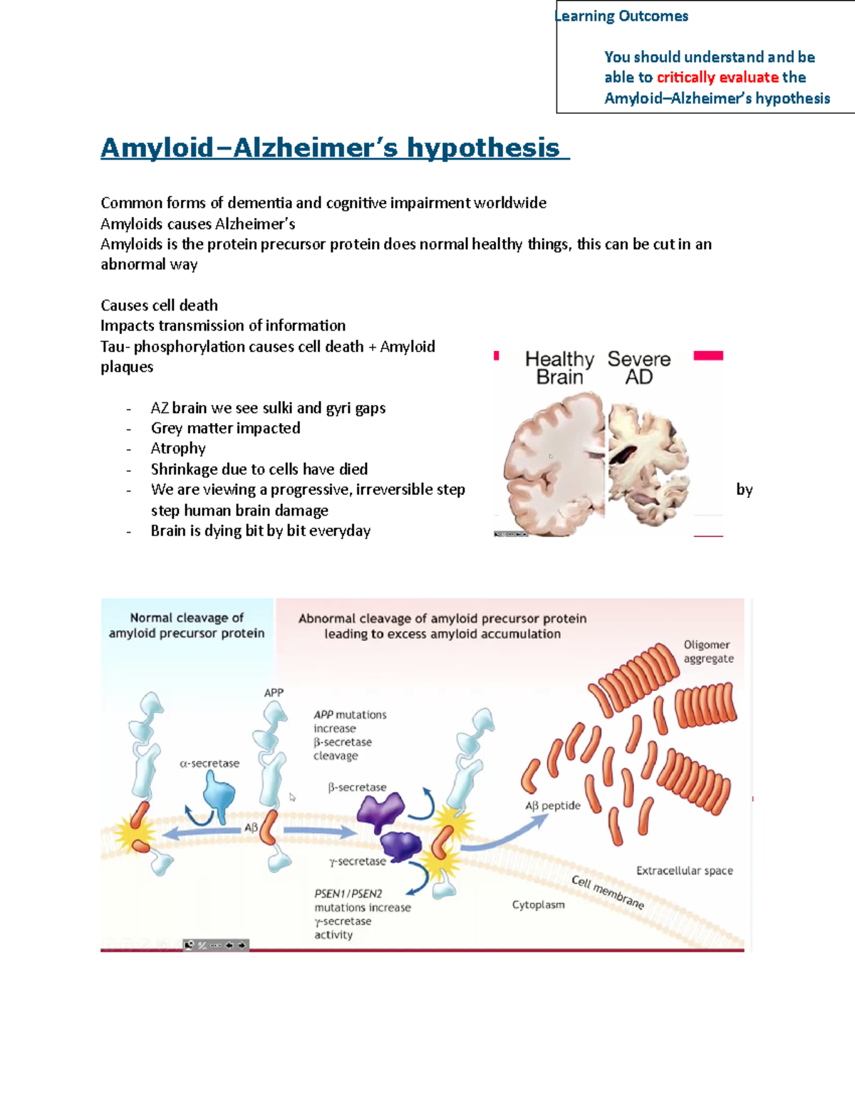 Amyloid Alzhiemers - Amyloid–Alzheimer’s hypothesis Common forms of ...