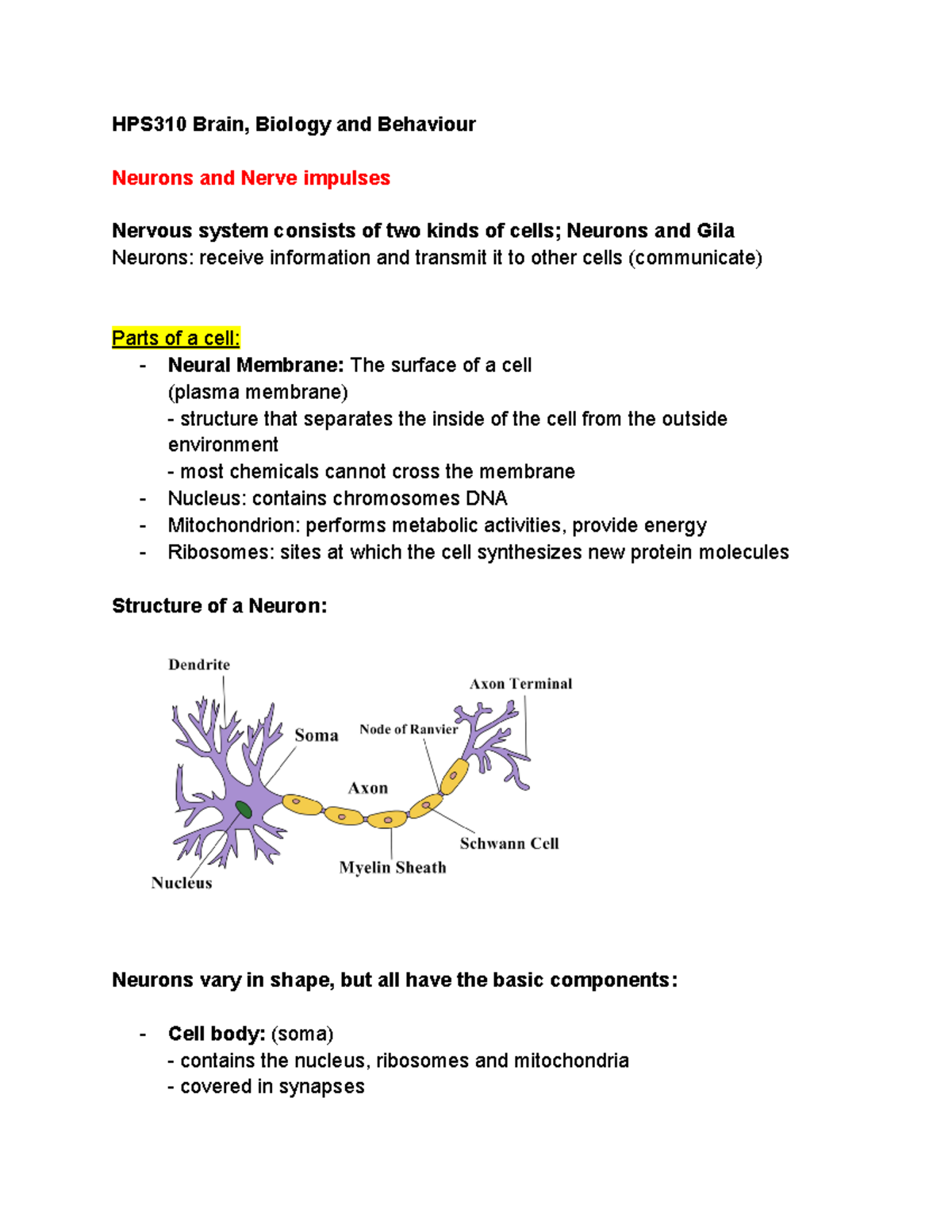 HPS310 Week 2 Neurons and Nerve impulses - HPS310 Brain, Biology and ...
