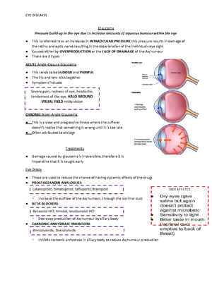 Eye Anatomy Introduction - Eye Anatomy Introduction: Even though the ...