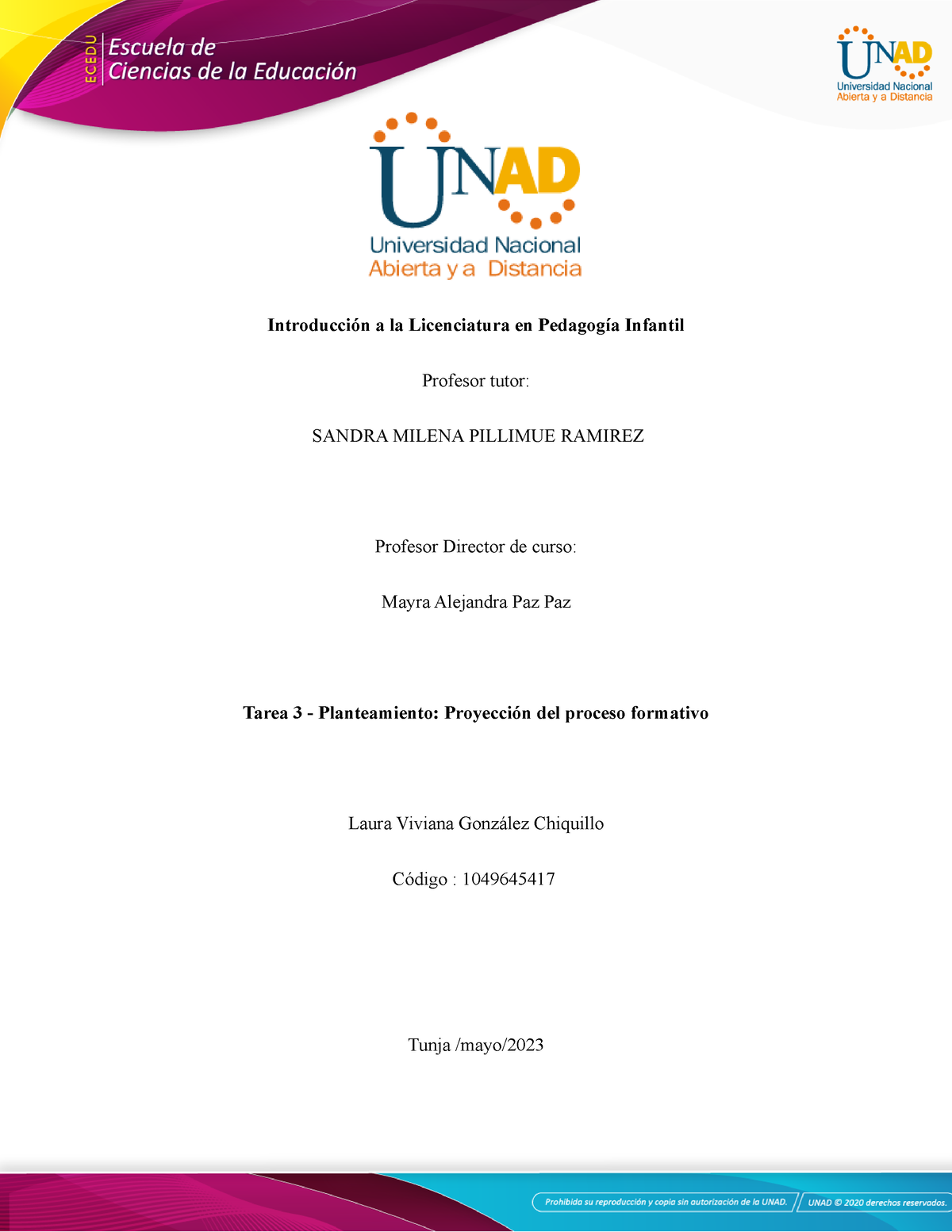 Anexo 1 - Formato 3 Para La Elaborar El Planteamiento Proyección Del ...