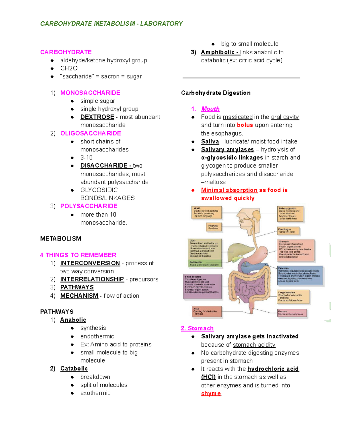 Carbohydrate- Metabolism - CARBOHYDRATE aldehyde/ketone hydroxyl group ...