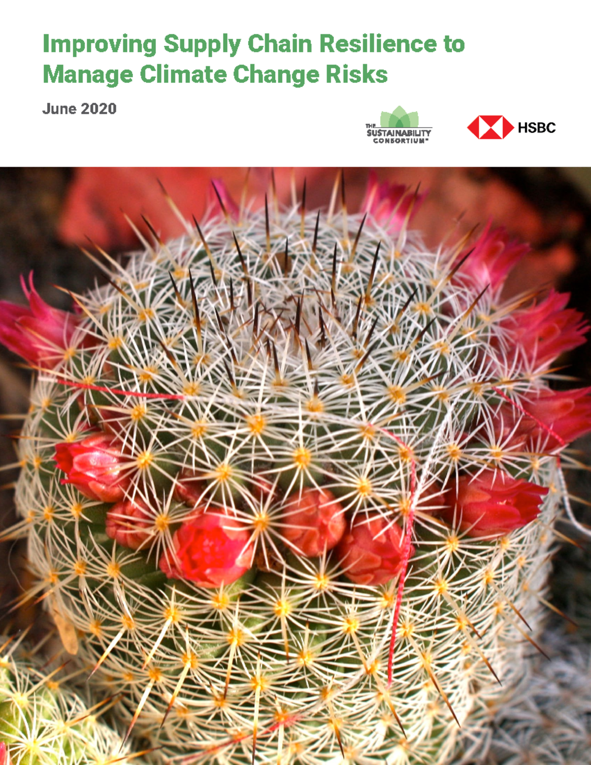 Supply chain resilience and climate change - Improving Supply Chain ...