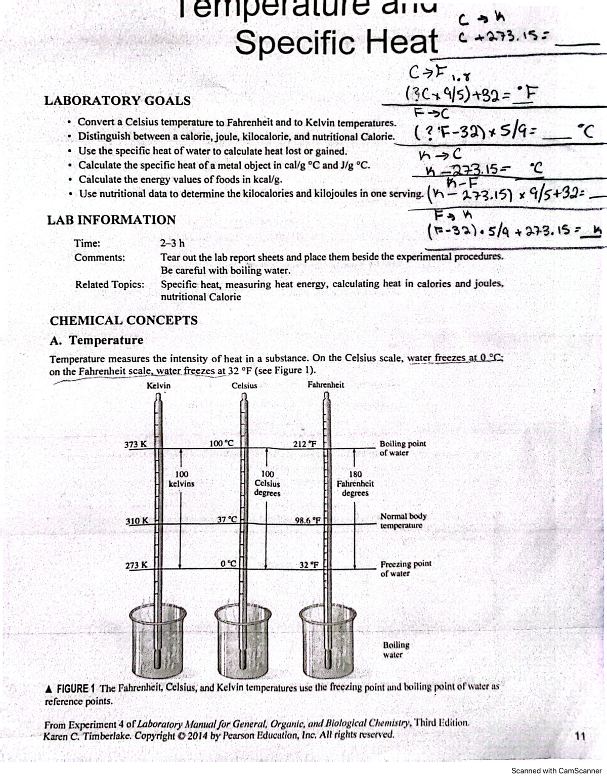 TEMP LAB - Exam - CHEM 1010 - Studocu