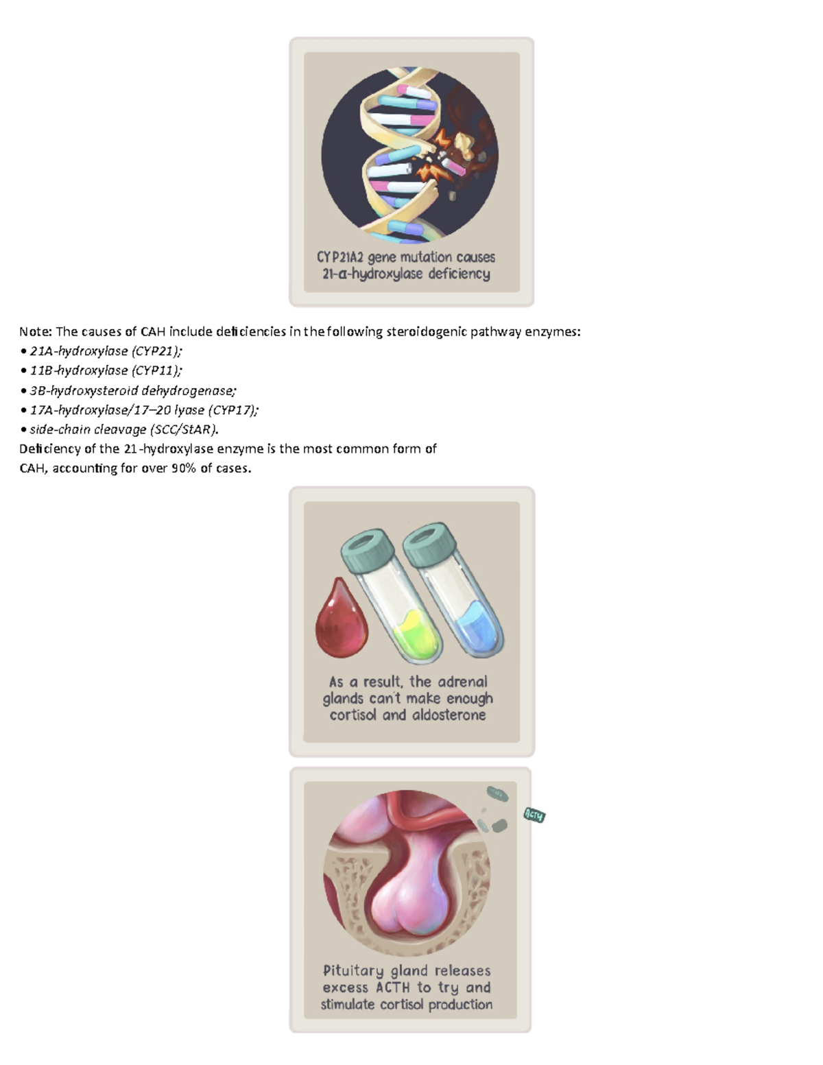 CAH-summary - CAH - Note: The causes of CAH include deficiencies in the