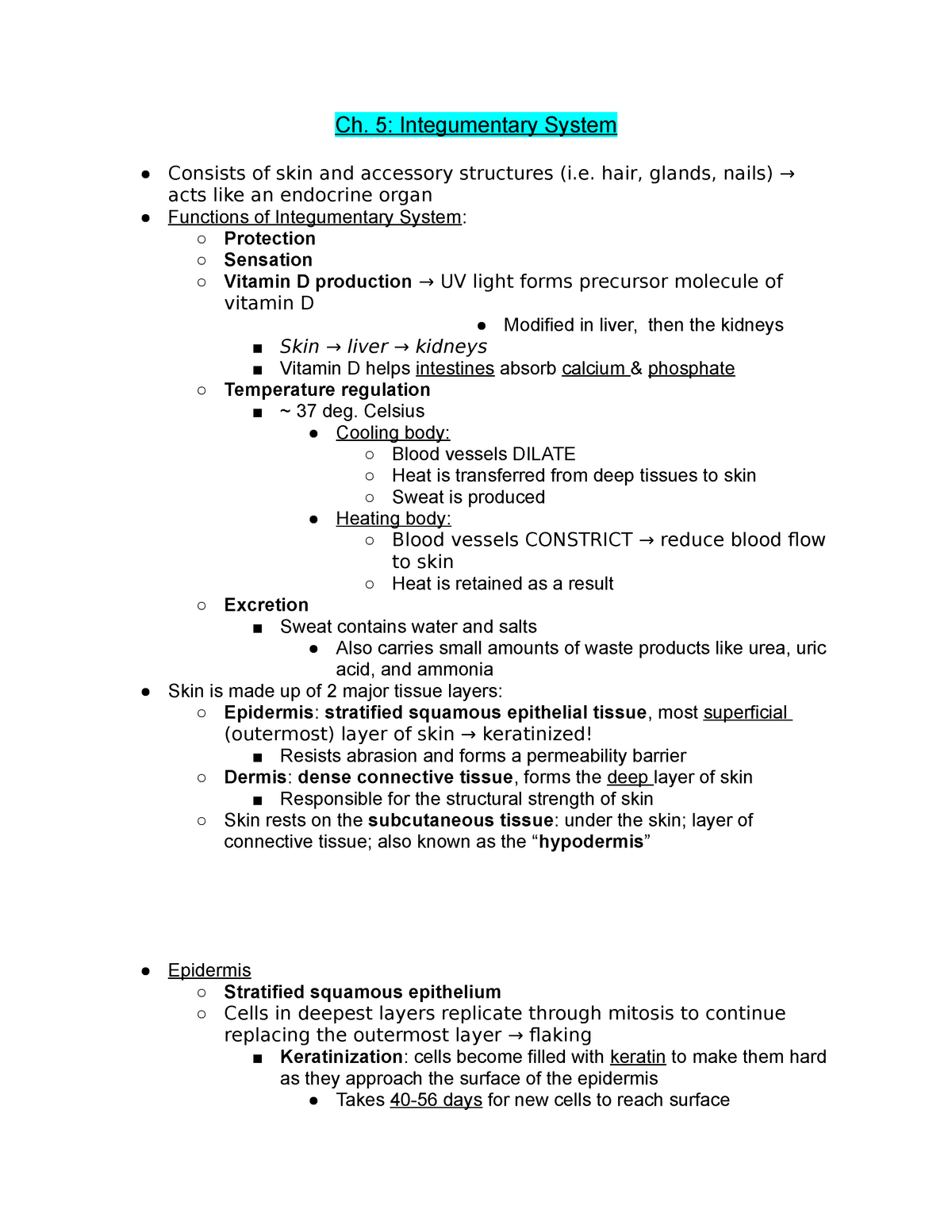 Integumentary System Worksheet Answers