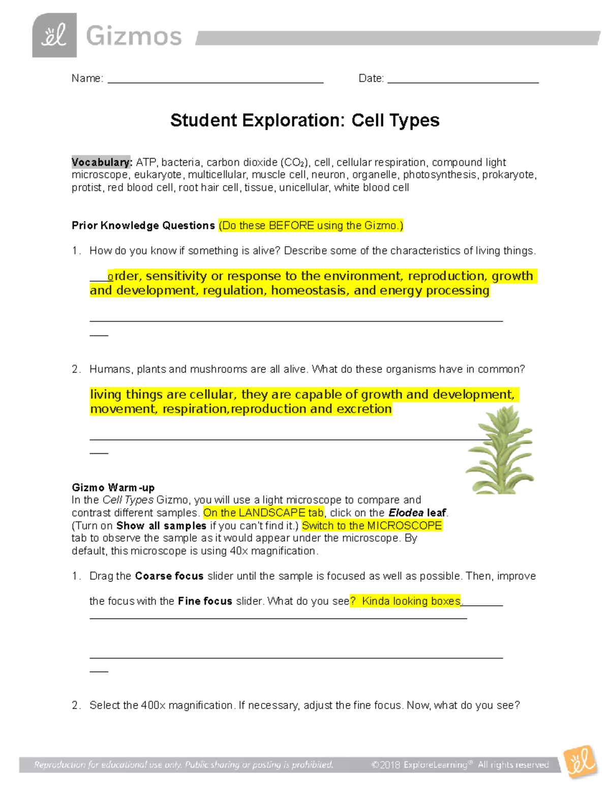 1.2.4 Cell Types - stuff - Name: Date: Student Exploration: Cell Types ...