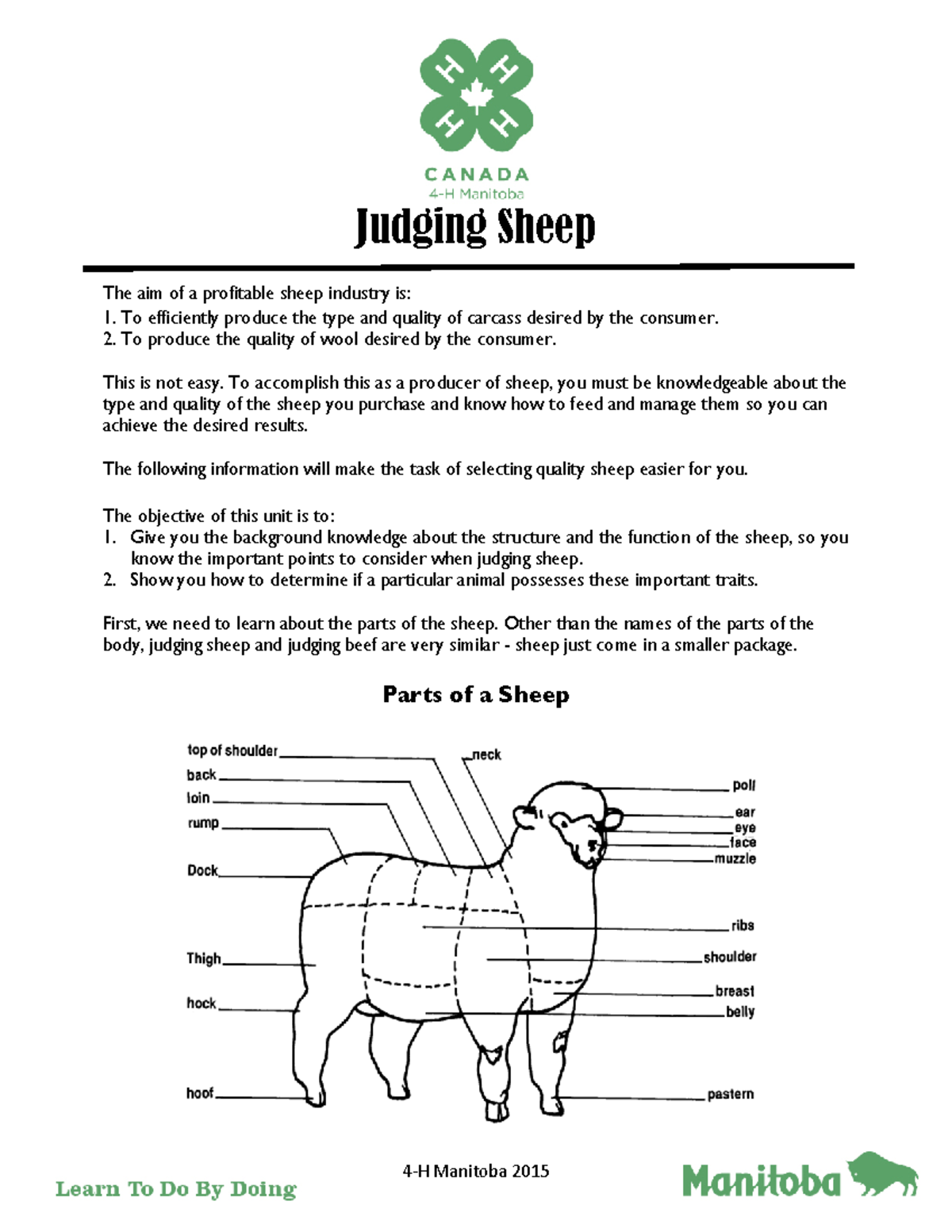 Judge-sheep - Judging Sheep 4 ‐H Manitoba 2015 The aim of a profitable ...