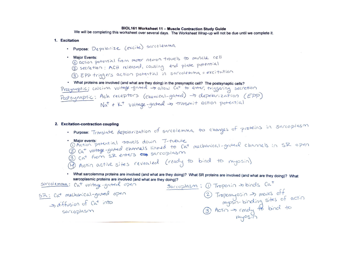 Bio161 worksheet 11 pdf - BIO 161 - StuDocu