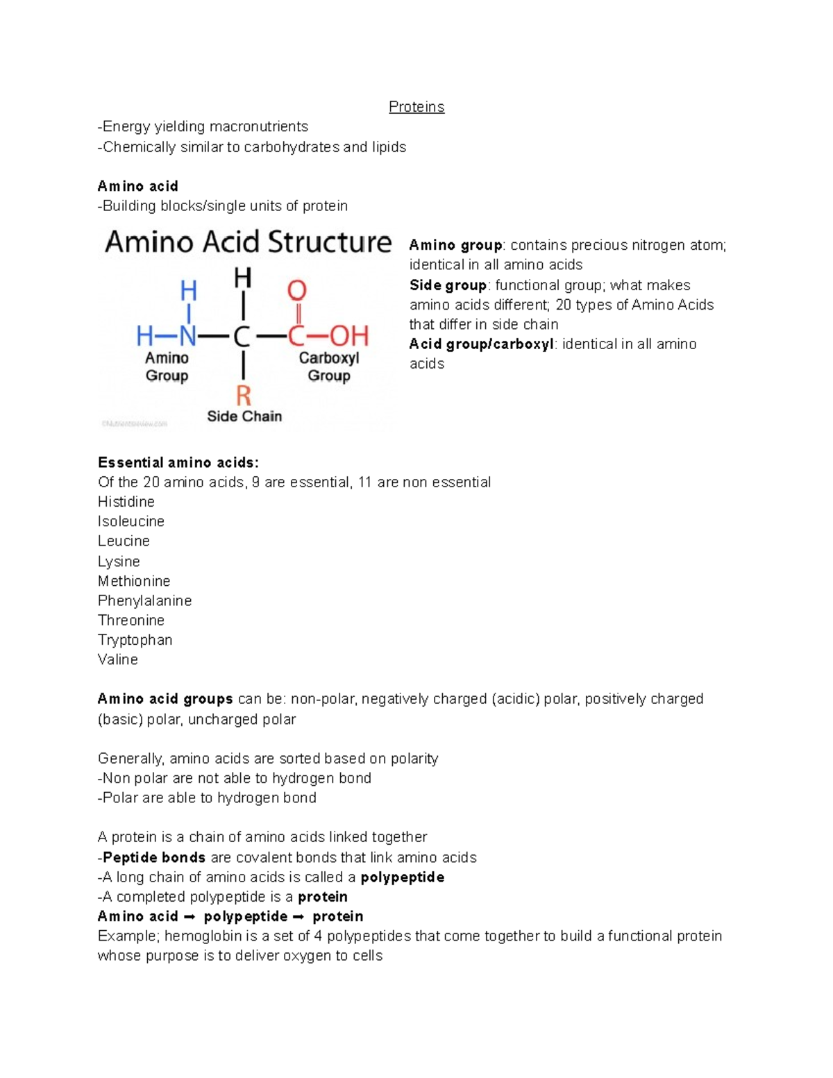 Proteins Lecture Notes From The Protein Lesson Proteins Energy Yielding Macronutrients 8440